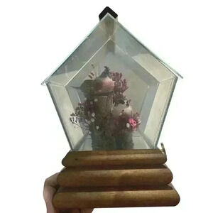 Mushroom Birds From Rare Mushrooms Music Box Vintage